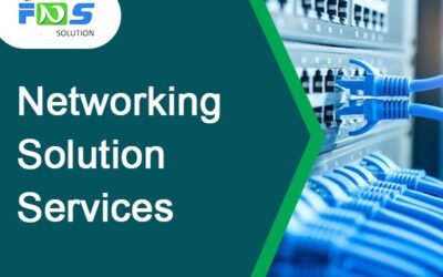 Networking Solution Services in Gurgaon